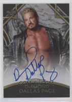 Diamond Dallas Page #/5