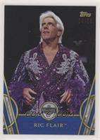 Hall of Fame - Ric Flair #/25