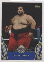 Hall of Fame - Yokozuna #/25