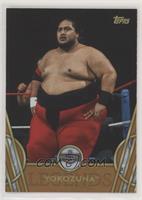 Hall of Fame - Yokozuna [EX to NM]