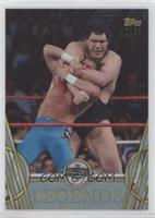 Hall of Fame - Andre the Giant #/50