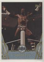 Hall of Fame - Booker T #/50