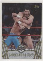 Hall of Fame - Andre the Giant