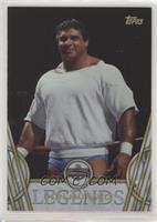 Hall of Fame - Don Muraco