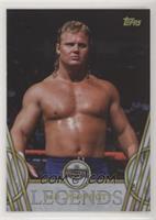 Hall of Fame - Mr. Perfect