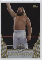 Hall of Fame - Big John Studd