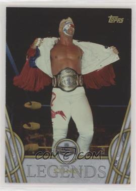 2018 Topps Legends of the WWE - [Base] #48 - Hall of Fame - Sting