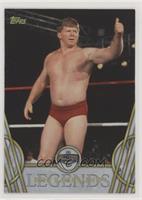 Hall of Fame - Bob Backlund