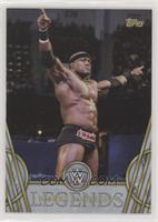 Bobby Lashley