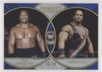 Ron Simmons & Faarooq [EX to NM] #/25