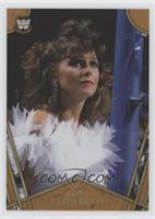 Miss Elizabeth