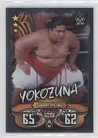 Yokozuna