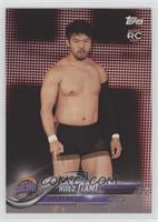 Hideo Itami