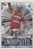 Cesaro #/25