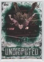 Jeff Hardy #/50