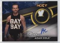 Adam Cole [EX to NM] #/50