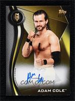 Adam Cole #/10