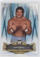 Don Muraco [EX to NM]