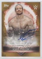 Aiden English #/10