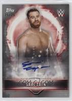 Sami Zayn #/25