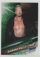 WWE Legend - Diamond Dallas Page