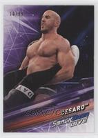 Cesaro [EX to NM] #/99