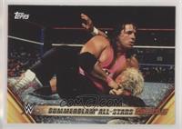 Bret Hart Def. Mr. Perfect to Win the Intercontinental Championship