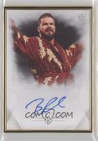 Bobby Roode [EX to NM] #/25