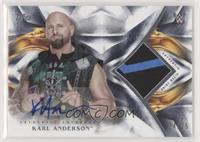 Karl Anderson #/25