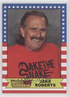 Jake Roberts