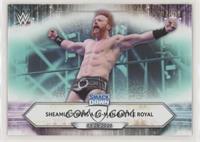 SmackDown - Sheamus Wins a 10-Man Battle Royal #/299