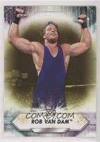 Rob VAN Dam #/75