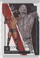 Randy Orton #/49