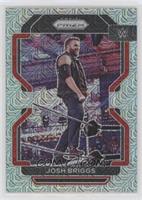 Josh Briggs #/25