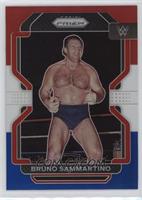 Bruno Sammartino