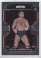 Bruno Sammartino