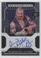 Diamond Dallas Page