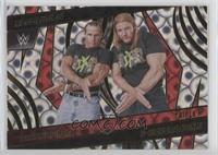 Tag Teams - Shawn Michaels, Triple H