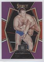 Premier Level - Bruno Sammartino #/75