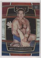 Concourse - Bruno Sammartino [EX to NM]