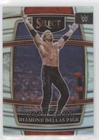 Concourse - Diamond Dallas Page