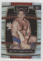 Concourse - Bruno Sammartino