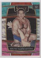 Concourse - Bruno Sammartino