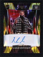 Gable Steveson #5/10