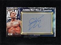 CM Punk #/15