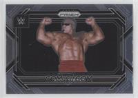 Scott Steiner