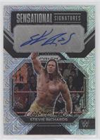 Stevie Richards #/25