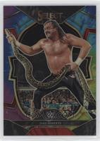 Concourse - Jake Roberts #/25