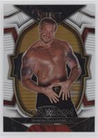 Concourse - Diamond Dallas Page #/125