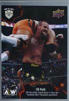 Forbidden Door - (Jun. 25, 2023) - CM Punk Defeats Satoshi Kojima in Owen Hart …